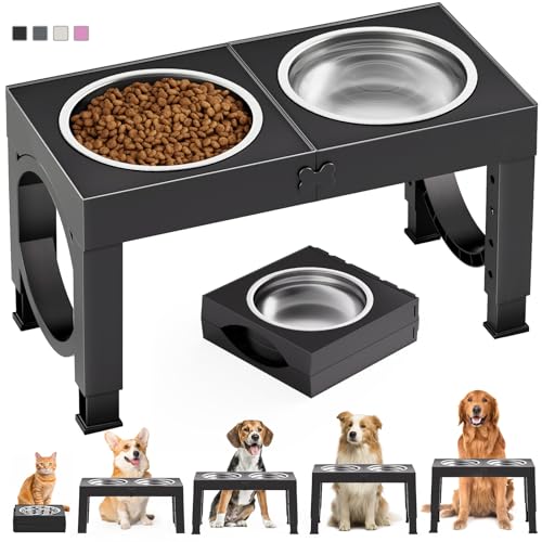 Best Raised Dog Bowls