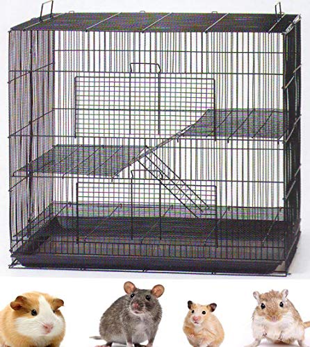 Best Rat Cage