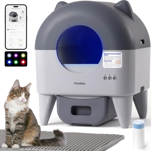 Best Self-Cleaning Litter Boxes