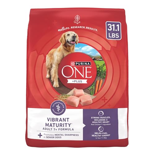 Best Senior Dog Food Choices