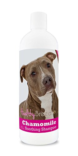 Best Shampoos for Pitbulls: Top Picks for Healthy Coats