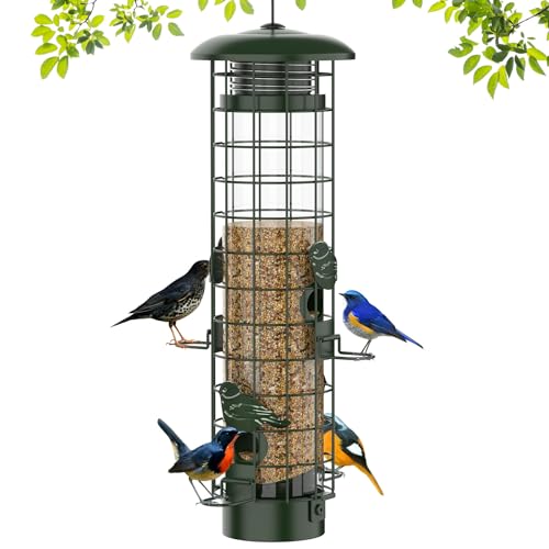Best Squirrel Proof Bird Feeder