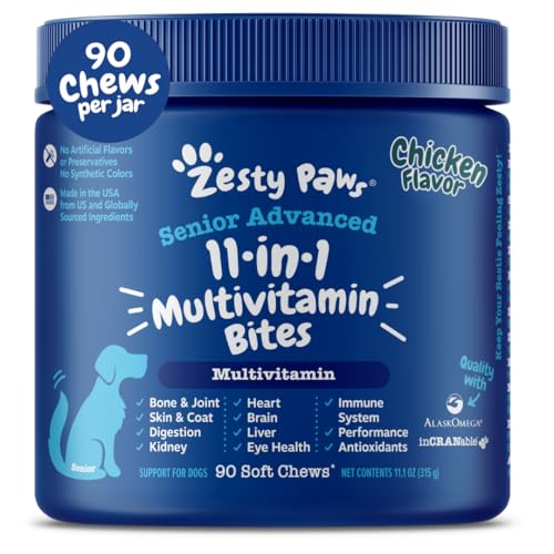 Best Supplements for Older Dogs