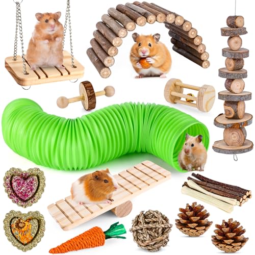 Best Toy For Hamsters