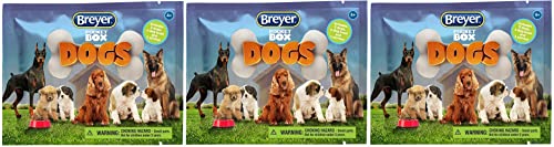 Best Toys for Blind Dogs