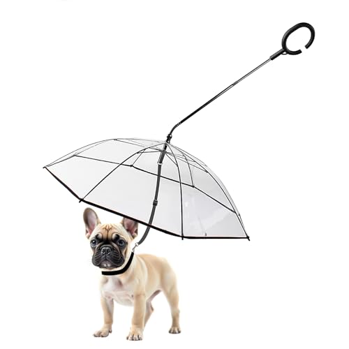 Best Umbrellas for Dogs