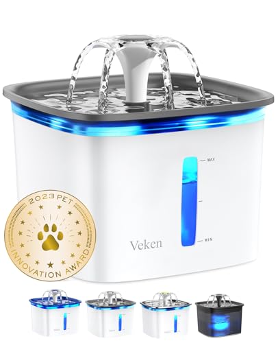 Best Water Bowl for Cats