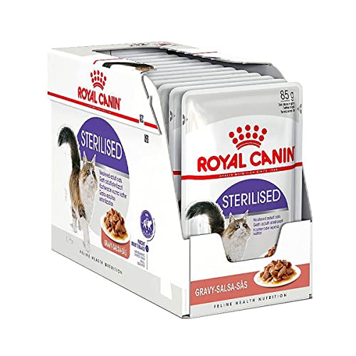 Best Wet Cat Food