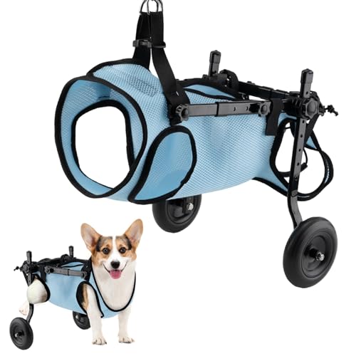 Best Wheelchairs For Dogs