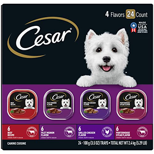 Cesar Dog Food