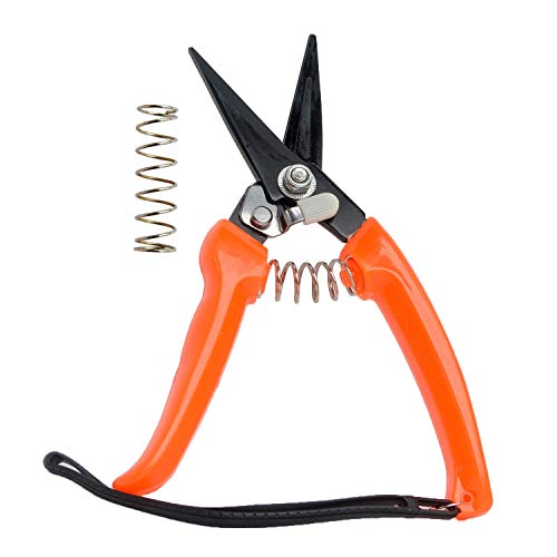 Farrier Tool