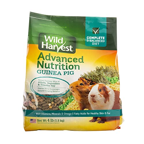 Guinea Pig Foods