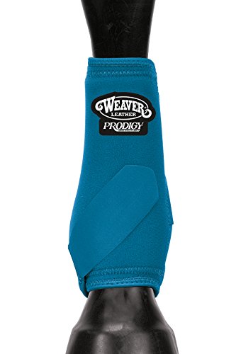 Horse Boots & Wraps