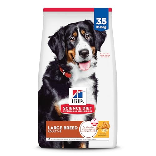 Medium And Big Dog Breeds