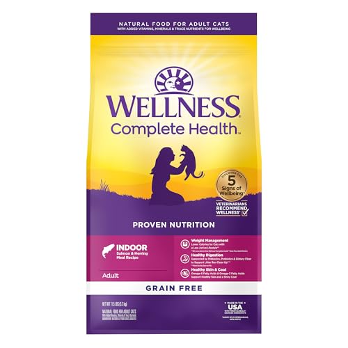 Wellness Cat Food